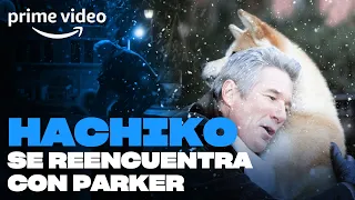 Siempre a tu lado - Hachiko se reencuentra con Parker | Prime Video