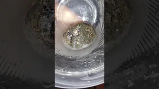 PLATINUM GOLD DIAMOND tested in hydrogen peroxide