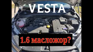 Лада Веста1.6 87тыс. Есть ли Нагар на поршнях?