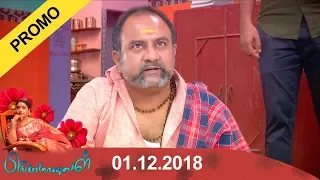 Priyamanaval Promo 01/12/18