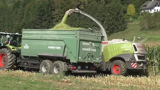 Mais 2023 LU  Tauschmann Claas Jaguar 960 & Orbis 750 mit verschiedenen Abfahrern in Bezirk Hartberg