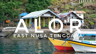 This is ALOR ISLAND in East Nusa Tenggara, Indonesia | Stunning coastlines, diving & a dugong 🇮🇩