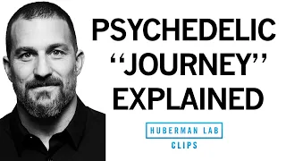 Clinical Psychedelic Journey (Set & Setting) Explained | Dr. Andrew Huberman