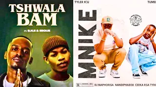 Tshwala Bam  x  Mnike  (REMIX) (by Silo88)