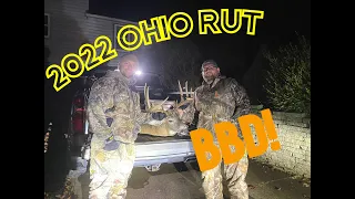 THE CRUISER 2022 - BIG OHIO WHITETAIL