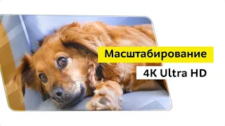 Телевизор Samsung UE43TU7170U