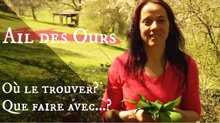 Ail des Ours où le trouver, que faire avec  ?