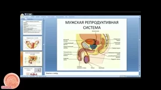 Вебинар "Контрацепция" 30 06 2016 Искусственные методы контрацепции Segment 0 x264