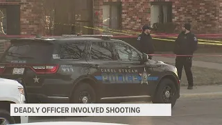 Suburban Chicago police fatally shoot domestic violence suspect