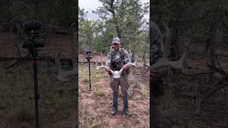 SHED HUNTING | MULE DEER DEADHEAD