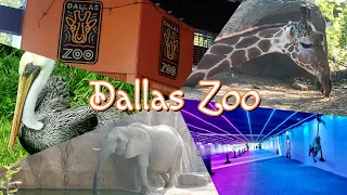 Dallas Zoo - Lost Tapes
