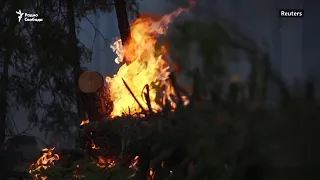 «Они сгорели». Почему полыхают российские леса?