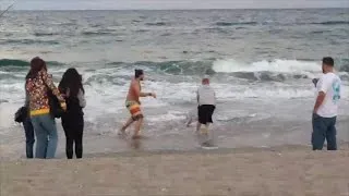 Man seen pulling shark from ocean on Palm Beach, Florida