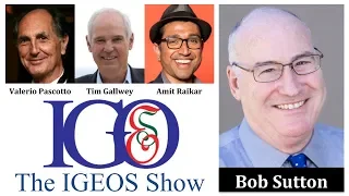 Bob Sutton, Stanford Professor, Organizational Friction, The Friction Project | The IGEOS Show 18