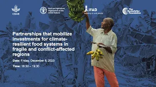 Partnerships that mobilize investments for climate-resilient food systems in conflict-affected areas