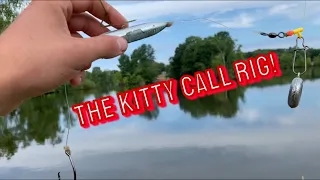 A Day of CHASING CATFISH!! (BANK FISHING FOR CATFISH)