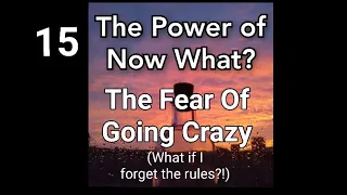 The Power Of Now What? Overcoming Awakening Problems Ep.15: The Fear Of Going Crazy