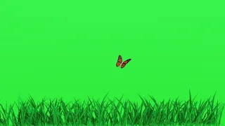 Green Screen Grass Effect Video