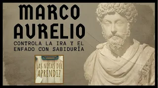 Domina la IRA con SABIDURÍA | Actúa INTELIGENTE  ▶ 5 Pasos (ESTOICISMO) | Las Notas del Aprendiz