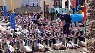 Ricasa's Vertical Mascletà is Going VIRAL - Craziest Firework We've Ever Seen! Benissa 2022