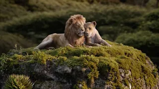 Lion King - Can you feel the love tonight (European French) Subs & Trans