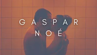 The Beauty Of Gaspar Noé