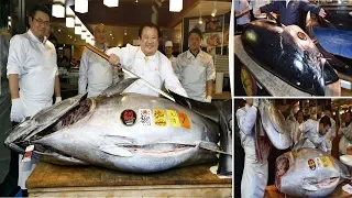 612lb Bluefin Tuna Sells For $3Million At Tokyo's Famous Tsukiji Fish Market
