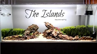 Aquascaping  THE ISLANDS