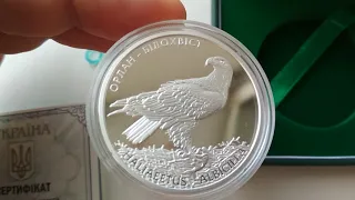 Орлан-белохвост 10 грн (серебро) 2019 #орлан #silvercoins