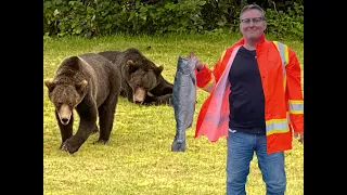 Scary Grizzly Bear Encounters & Salmon Fishing Part 2 Smoking Salmon- From River to Plate