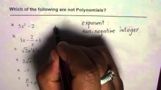 Which Algebraic Expressions are Not Polynomials Non Negative Exponents