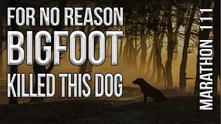 Bigfoot Murdered This Dog. Marathon 111