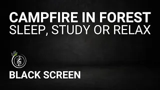 🔥 ASMR Campfire Ambience, Night Forest Sounds | 8h Black Screen for Sleep, Study or Relax