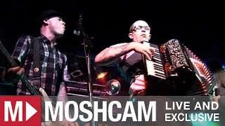 Flogging Molly - The Devil's Dance Floor | Live in Sydney | Moshcam