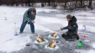 ЖЕРЛИЦЫ в БРАКОНЬЕРСКИХ ЯМАХ... ЩУКА ВЫПРЫГИВАЛА с ЛУНКИ!!! РЫБАЛКА на ЖЕРЛИЦЫ 2024