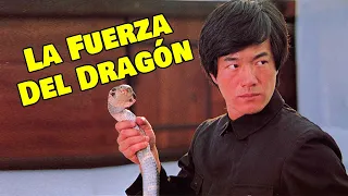 Wu Tang Collection - La Fuerza del Dragón - Dragon Force