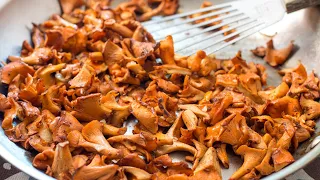 Easy and Fast Sautéed Chanterelle Mushrooms (Chanterelles) Recipe - EatSimpleFood.com