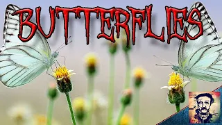 "Butterflies" - Creepypasta Deutsch / German