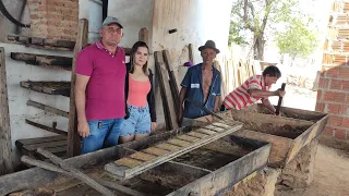 IMAGENS DA MOAGEM DE CANA NO SÍTIO RIACHO DO MEIO, VERDEJANTE PERNAMBUCO.