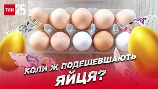 🥚💵 Інфляція понад 30 відсотків! Чи варто очікувати зниження вартості "золотих" яєць?