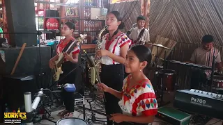 Los Yorkles | LA NEGRA CATALINA | en vivo Puerto Vicente Guerrero