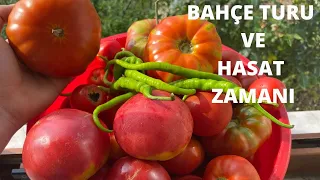 HASAT ZAMANI! BAHÇE TANITIMI 🍅 🫑