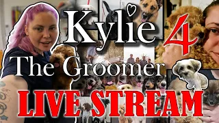 Kylie the Groomer Live stream. Live in the Salon.