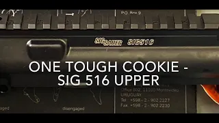 One Tough Cookie - SIG 516 Upper