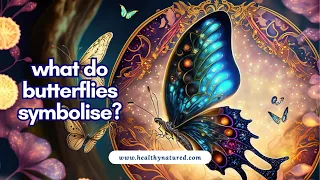 What Do Butterflies Symbolize? Unlock  The Mystery and Hidden Meaning