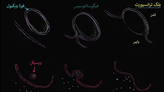 Endocytosis, phagocytosis, and pinocytosis |  Biology |  Khan Academy Urdu