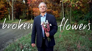 the cinematography of (broken flowers )