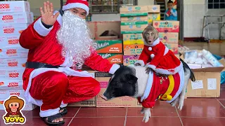 Monkey YiYi so happy joined his grandpa and Ủn Ỉn to help orphans