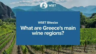 WSET Bitesize - What are Greece's main wine regions?