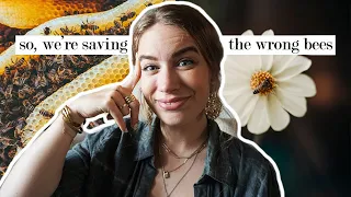 the environmental impact of honey // why the bees are disappearing